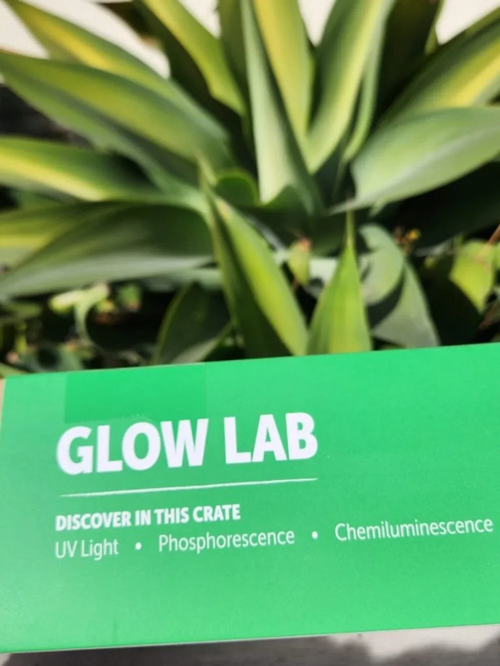 NEW Glow Lab KiwiCo. Kiwi Co. Crate Science Experiment Craft Kit UV Light Topics